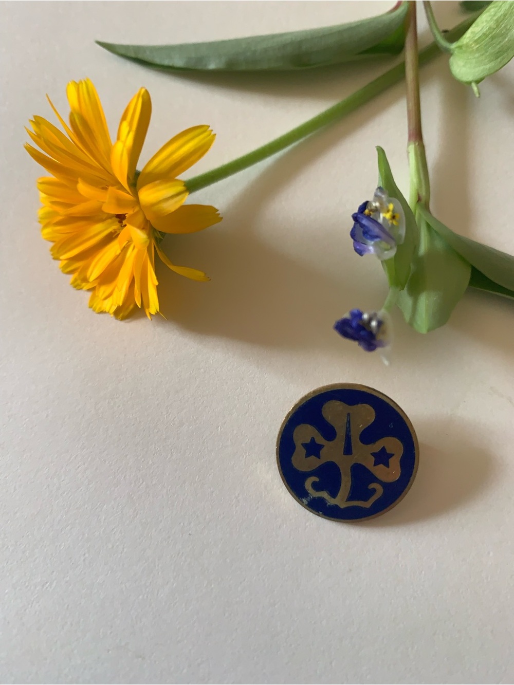 Enamel Clover & Star Round Pin - Blue and Gold